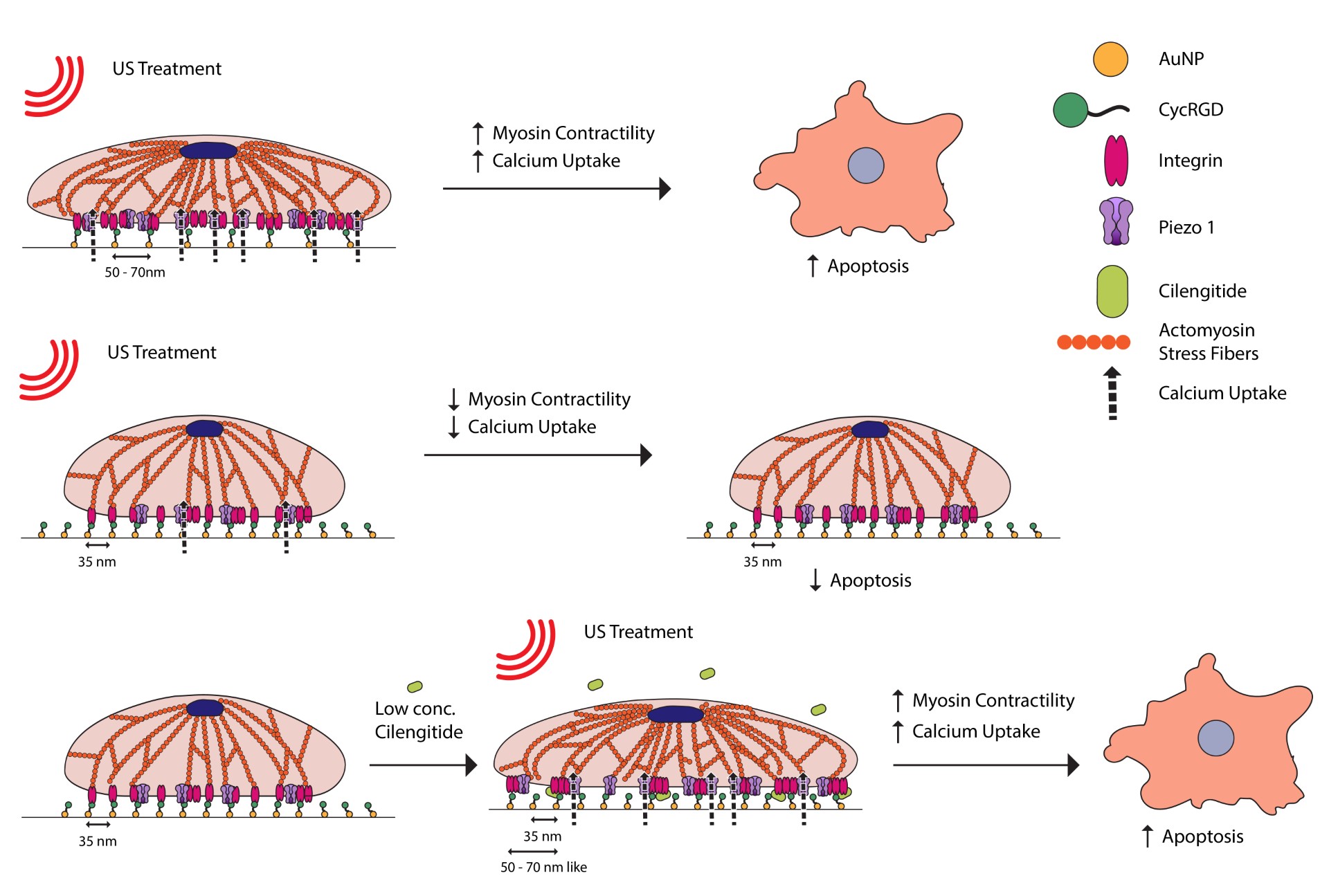 Schematic figure