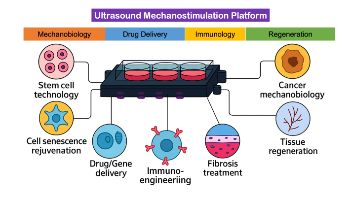 1 US platform